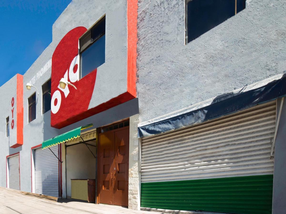Oyo Promenade,Terminal Central De Autobuses De Guanajuato Luaran gambar